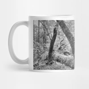 Dipsea Trail, Muir Woods National Monument Mug